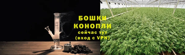 стаф Козельск