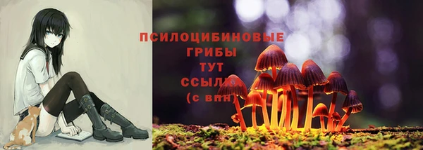 гашишное масло Кодинск