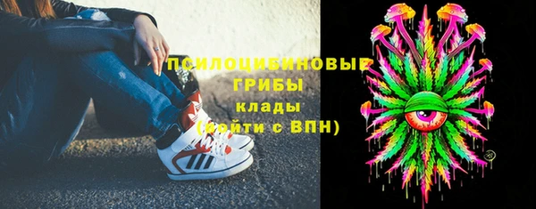 стаф Козельск