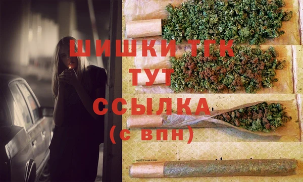 стаф Козельск
