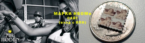 стаф Козельск